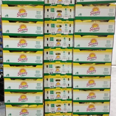 WhatsApp Image 2025-06-08 at 7.47.24 PM WhatsApp Image 2025-06-08 at 7.47.24 PM